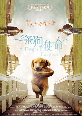 向涟苍士献上纯洁第二季