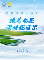 免费的毛片网站