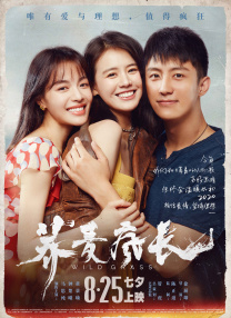 欧美一级视频在线高清观看