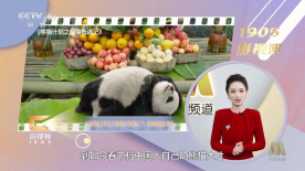 不卡一区二区在线